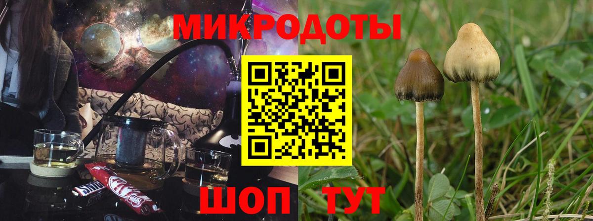 Галлюциногенные грибы Cubensis Карачаевск