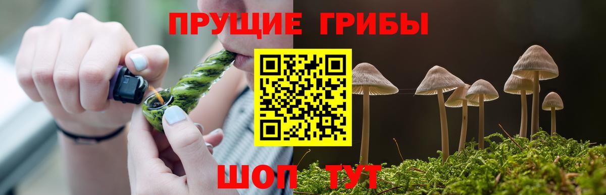 Псилоцибиновые грибы мухоморы  где купить наркоту  Карачаевск  Вход с VPN 