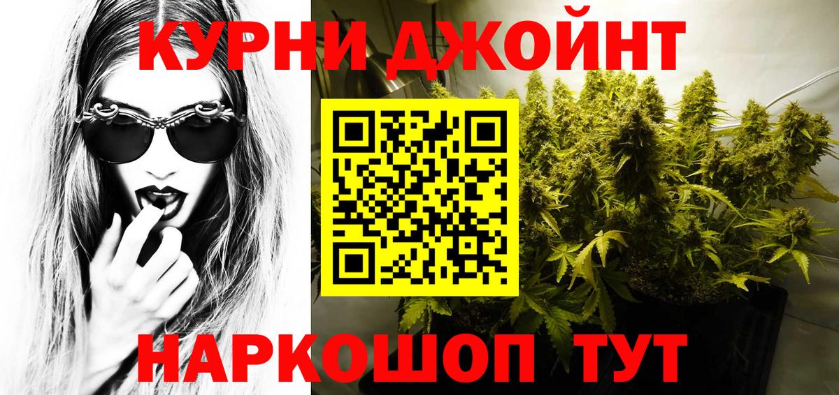 Бошки марихуана THC 21%  МАРИХУАНА White Widow  Конопля White Widow  Конопля гибрид  Вход с VPN  Карачаевск 